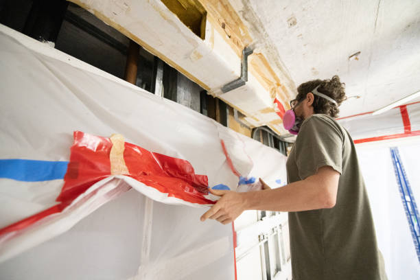 Trusted Abbeville, AL Mold Removal Experts
